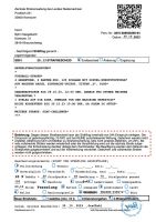 231030-VsB 23-13 Strafbescheid